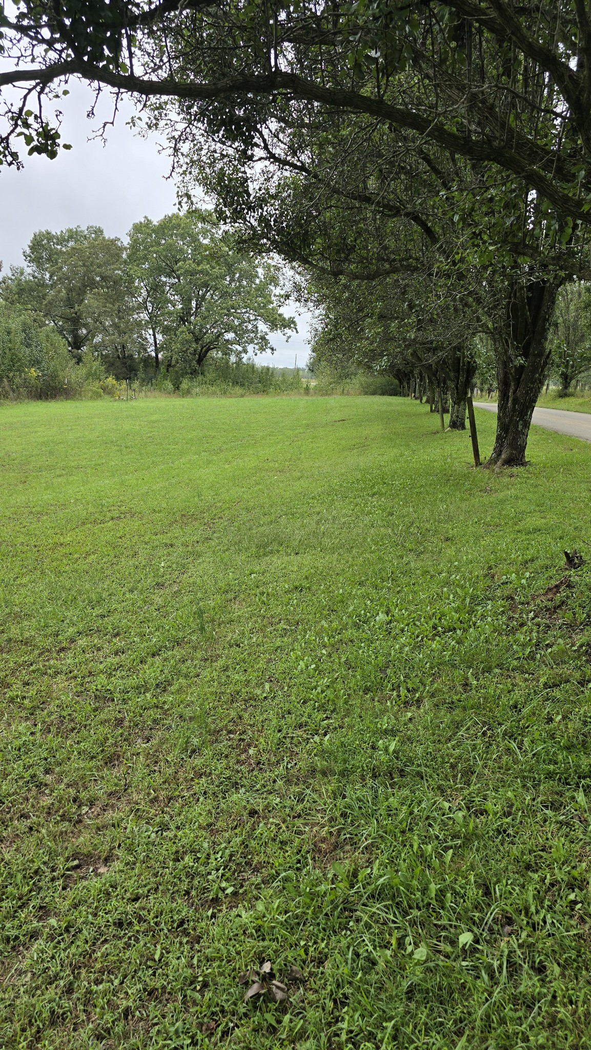 120 Shannon Road Leoma, TN 38468 - Photo 9 of 10 Gallery Image 9