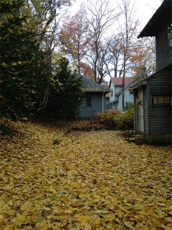 270 Clark Road Brookline, MA 02445 - Photo 5 of 6