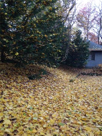 270 Clark Road Brookline, MA 02445 - Photo 6 of 6