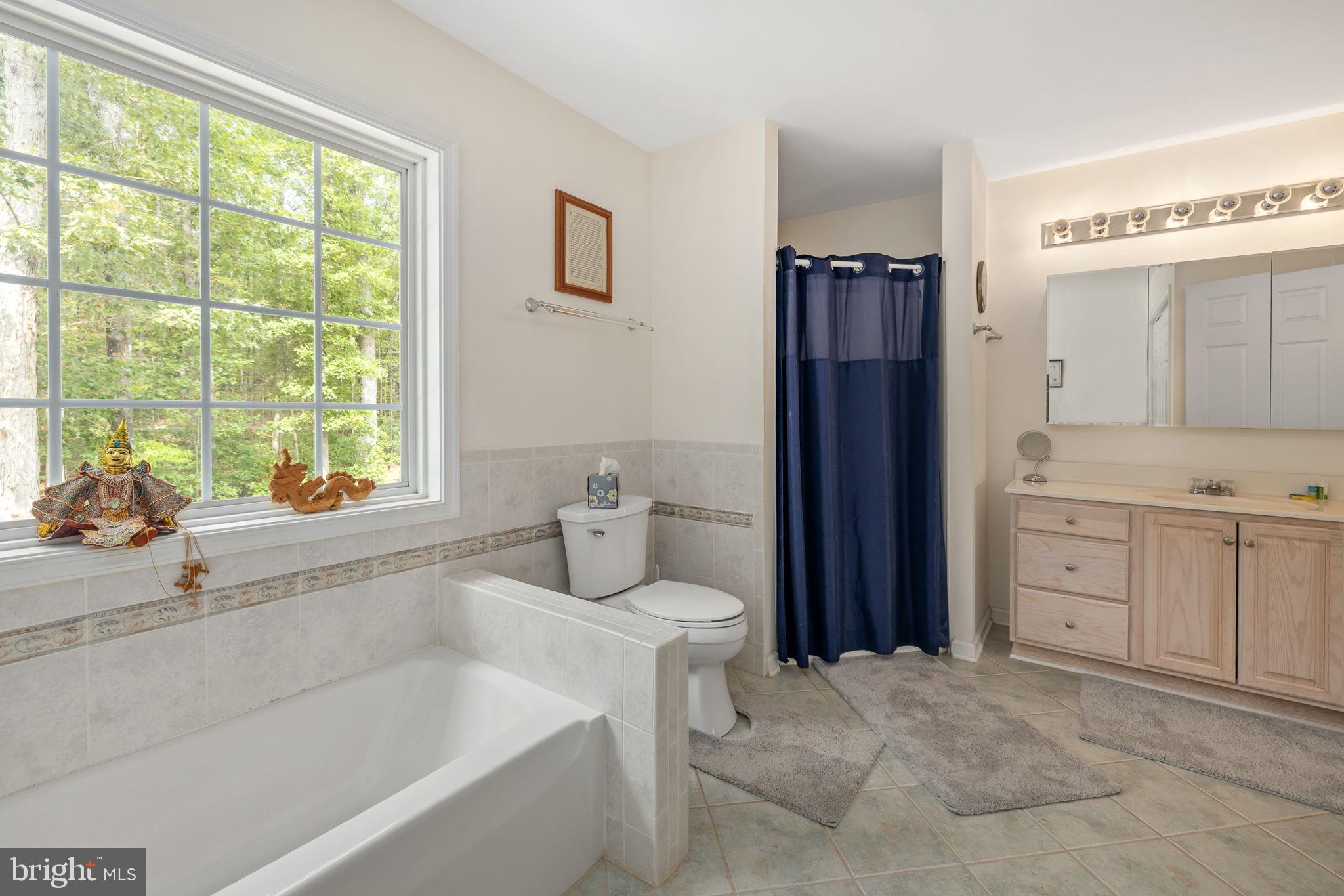 707 Lake Ruth Ann Road Louisa, VA 23093 - Photo 32 of 86
