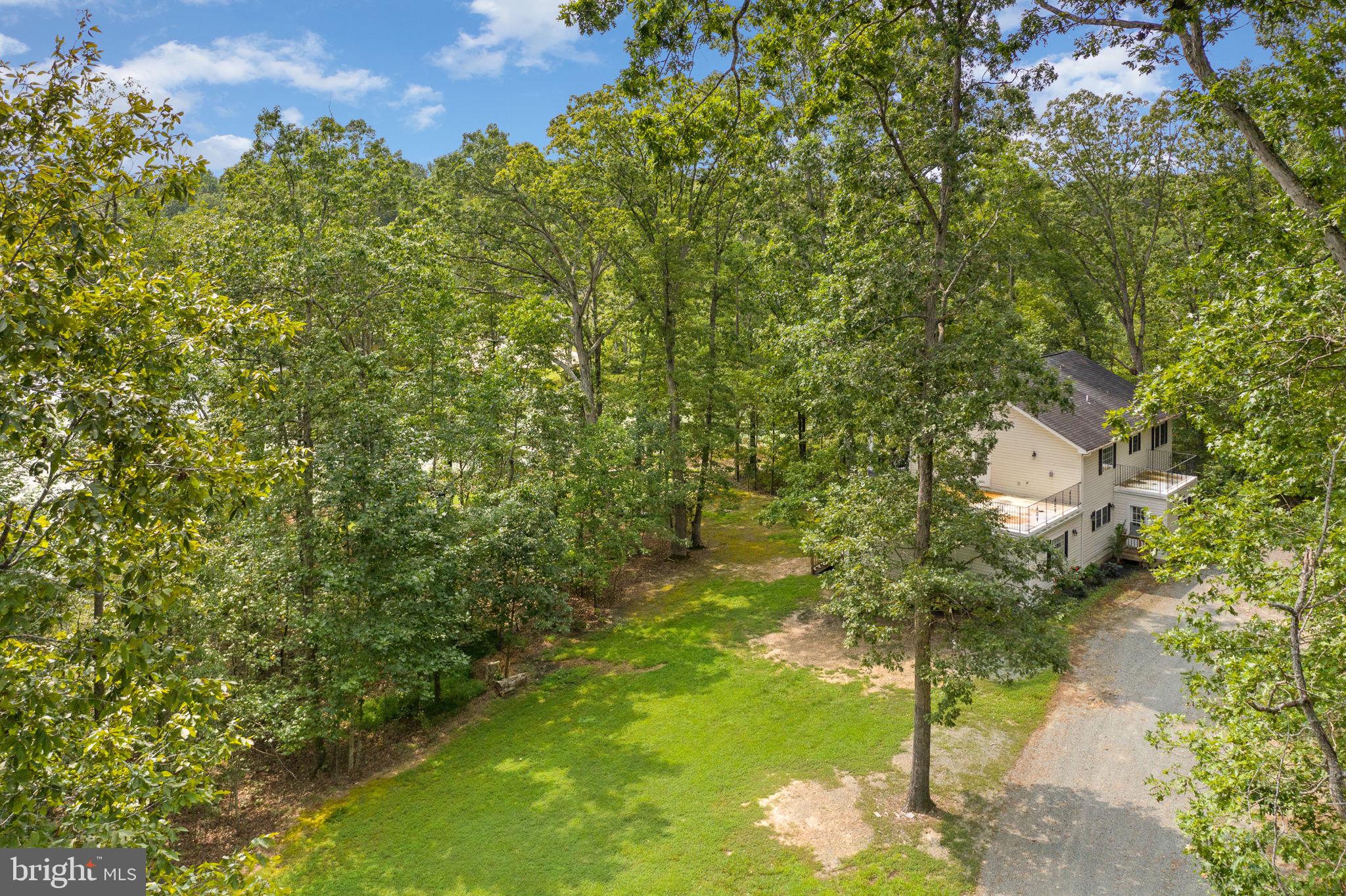 707 Lake Ruth Ann Road Louisa, VA 23093 - Photo 39 of 86