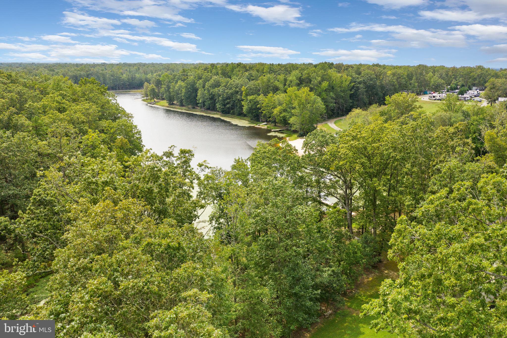 707 Lake Ruth Ann Road Louisa, VA 23093 - Photo 40 of 86