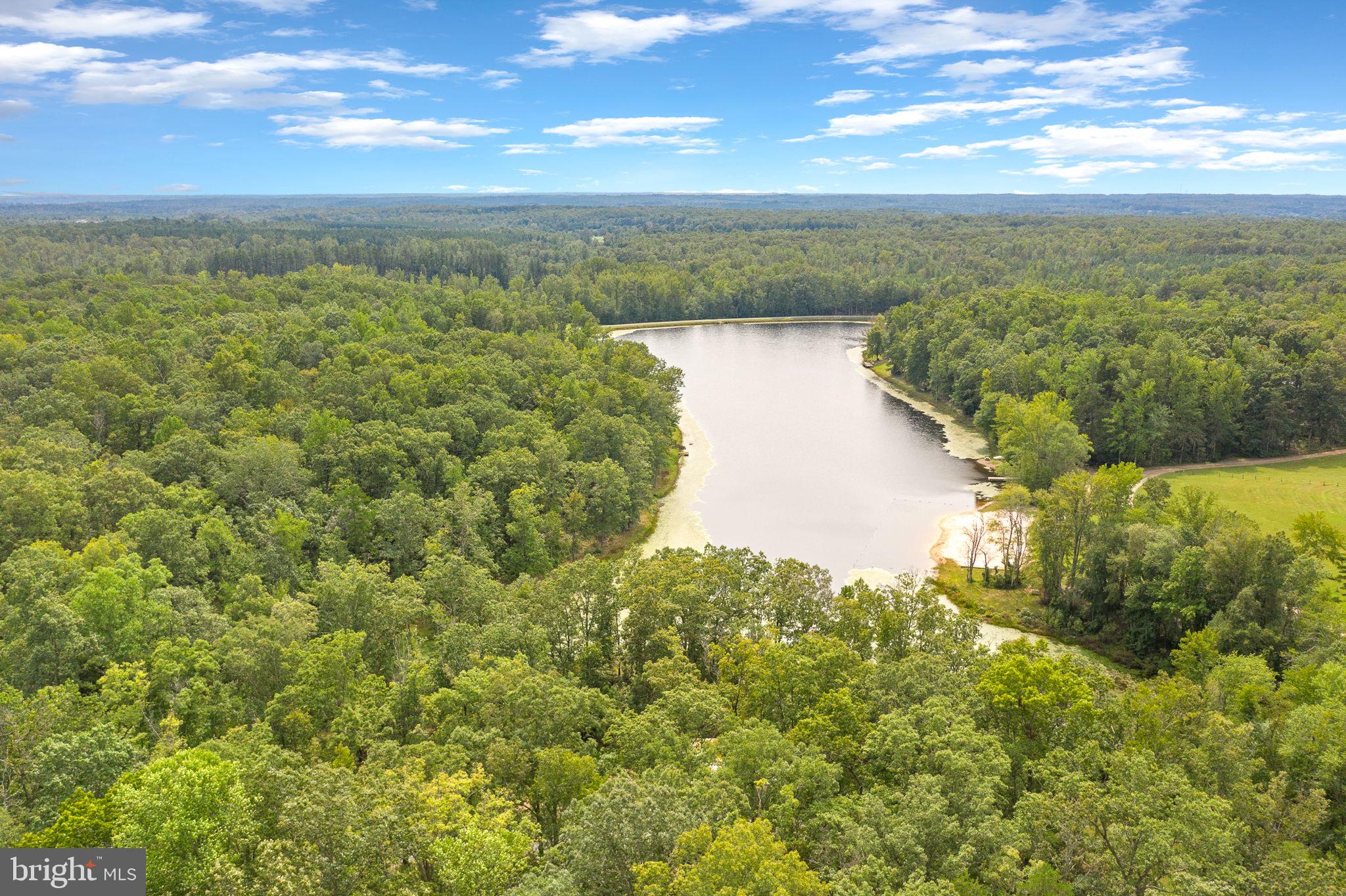 707 Lake Ruth Ann Road Louisa, VA 23093 - Photo 43 of 86