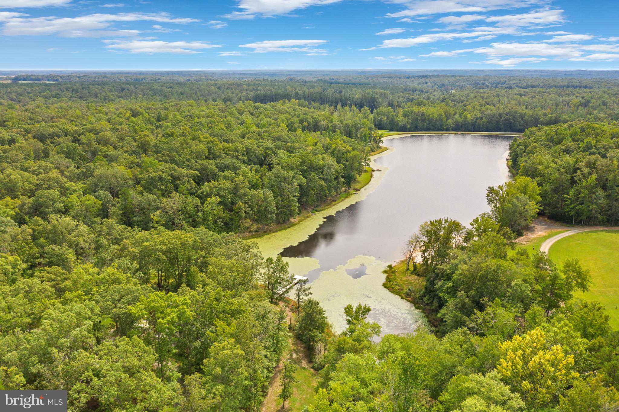 707 Lake Ruth Ann Road Louisa, VA 23093 - Photo 46 of 86