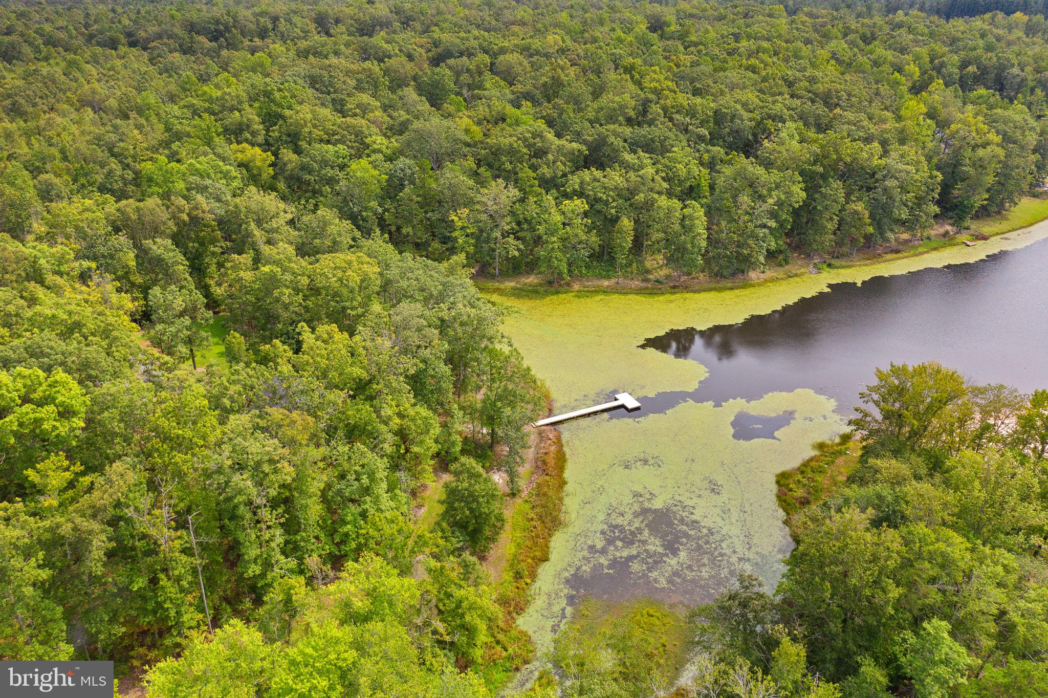 707 Lake Ruth Ann Road Louisa, VA 23093 - Photo 47 of 86