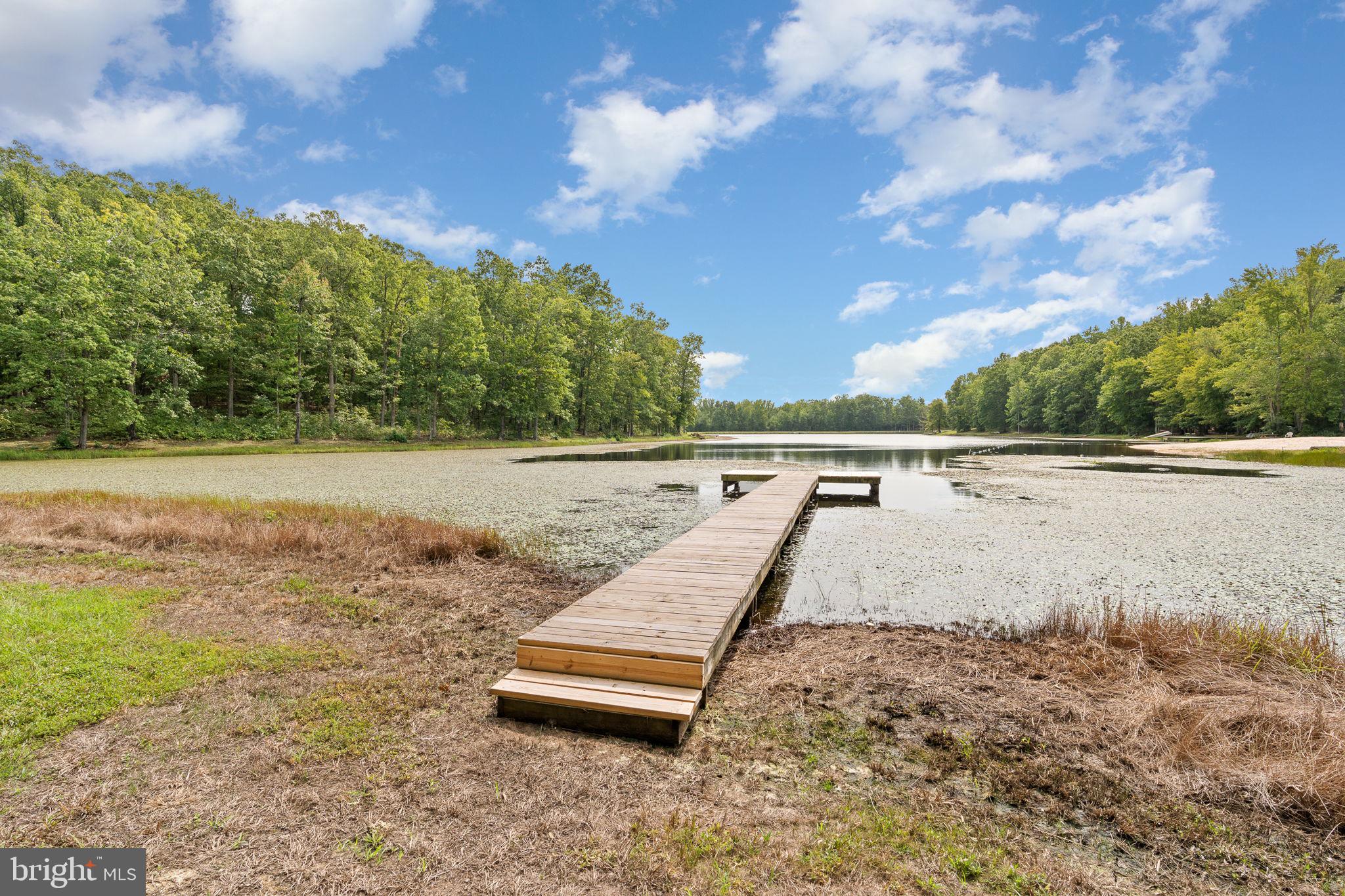 707 Lake Ruth Ann Road Louisa, VA 23093 - Photo 71 of 86