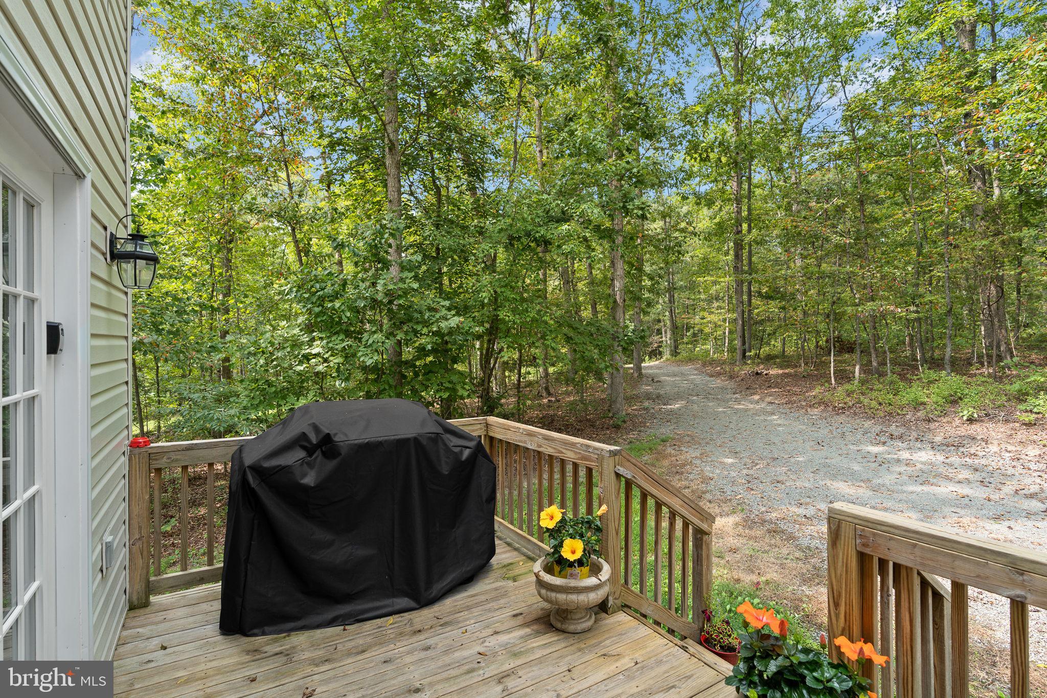 707 Lake Ruth Ann Road Louisa, VA 23093 - Photo 81 of 86