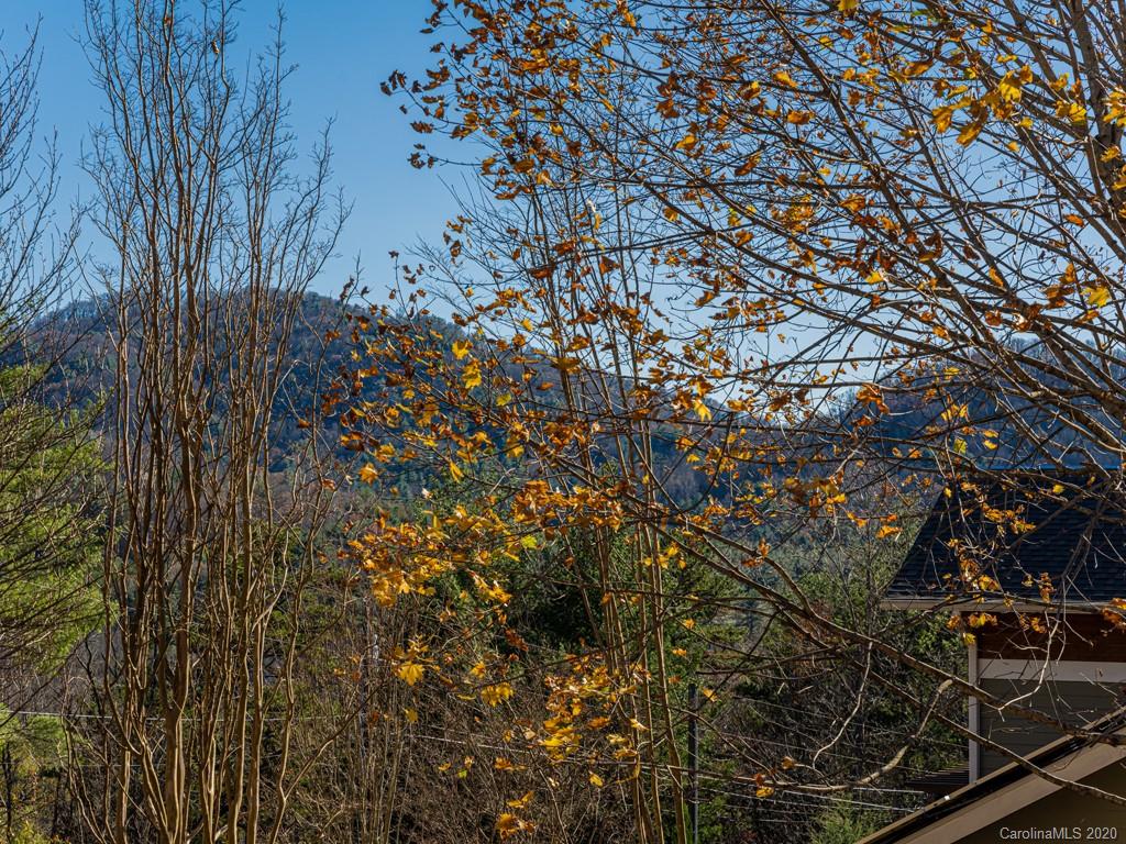 90 Gibson Road Asheville, NC 28804 - Photo 4 of 48 Gallery Image 4