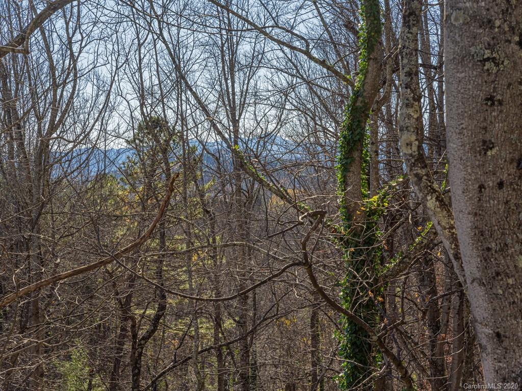 90 Gibson Road Asheville, NC 28804 - Photo 40 of 48 Gallery Image 40