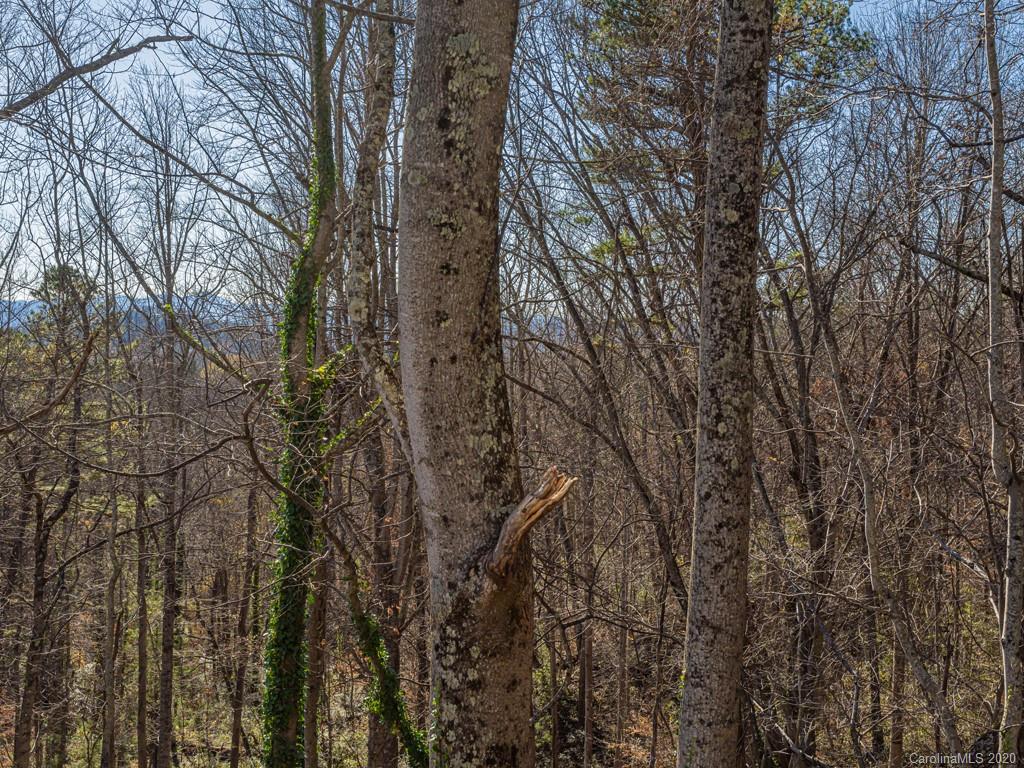 90 Gibson Road Asheville, NC 28804 - Photo 45 of 48 Gallery Image 45