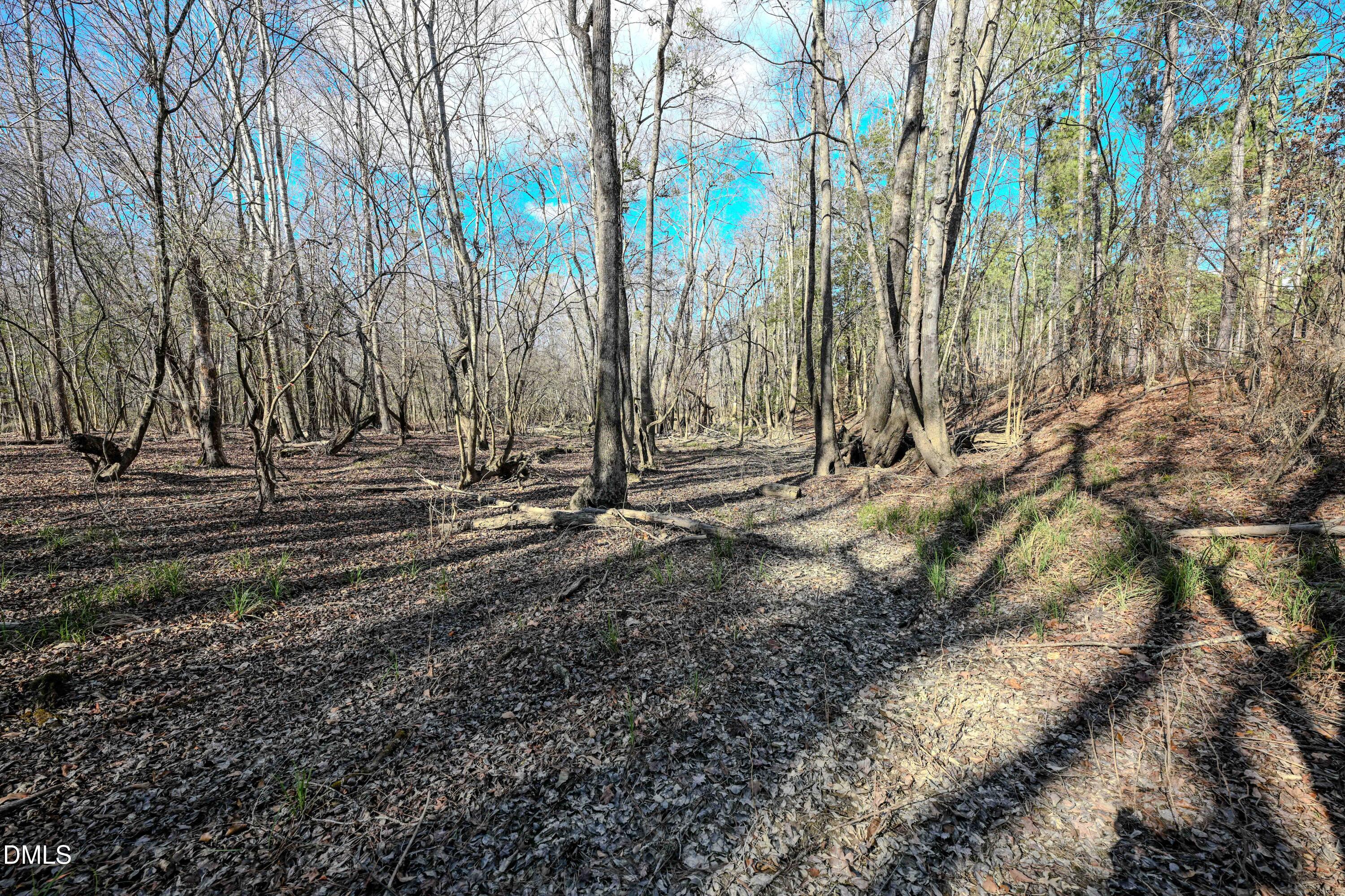2729 McNeill Hobbs Road Bunnlevel, NC 28323 - Photo 68 of 75 071