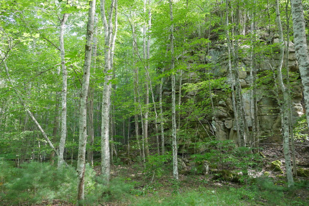 4163 Lick Creek Road Birchleaf, VA 24220 - Photo 65 of 86 Gallery Image 65