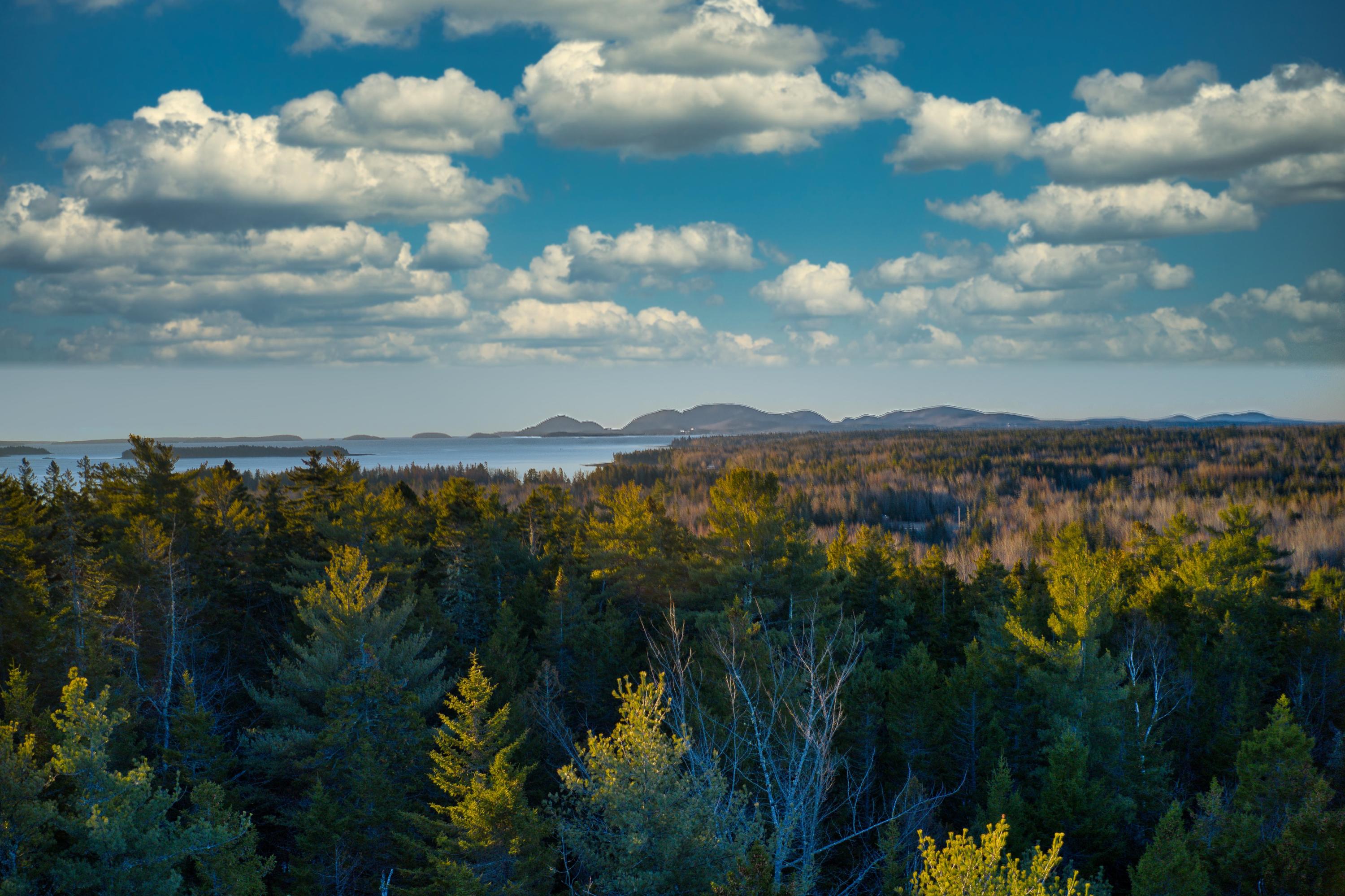 Tbd East Side Road Hancock, ME 04640 - Photo 1 of 16 Hancock view south
