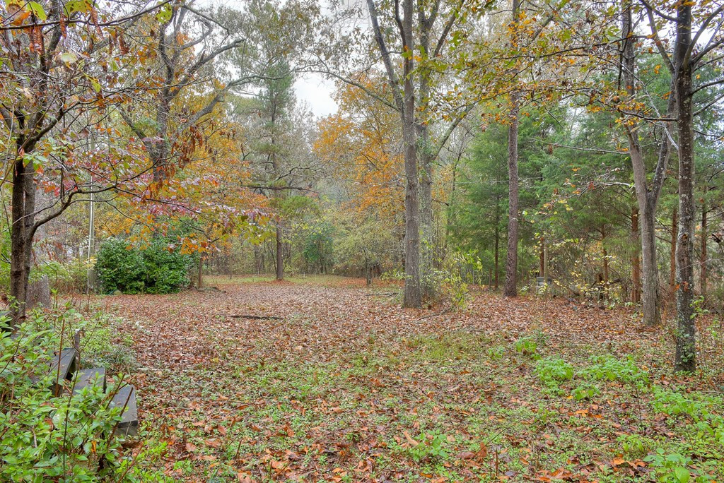 5052 Storey Mill Road Hephzibah, GA 30815 - Photo 38 of 53