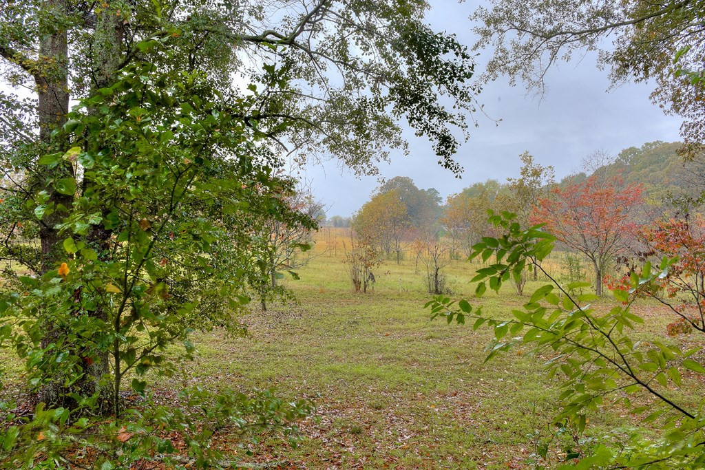 5052 Storey Mill Road Hephzibah, GA 30815 - Photo 41 of 53