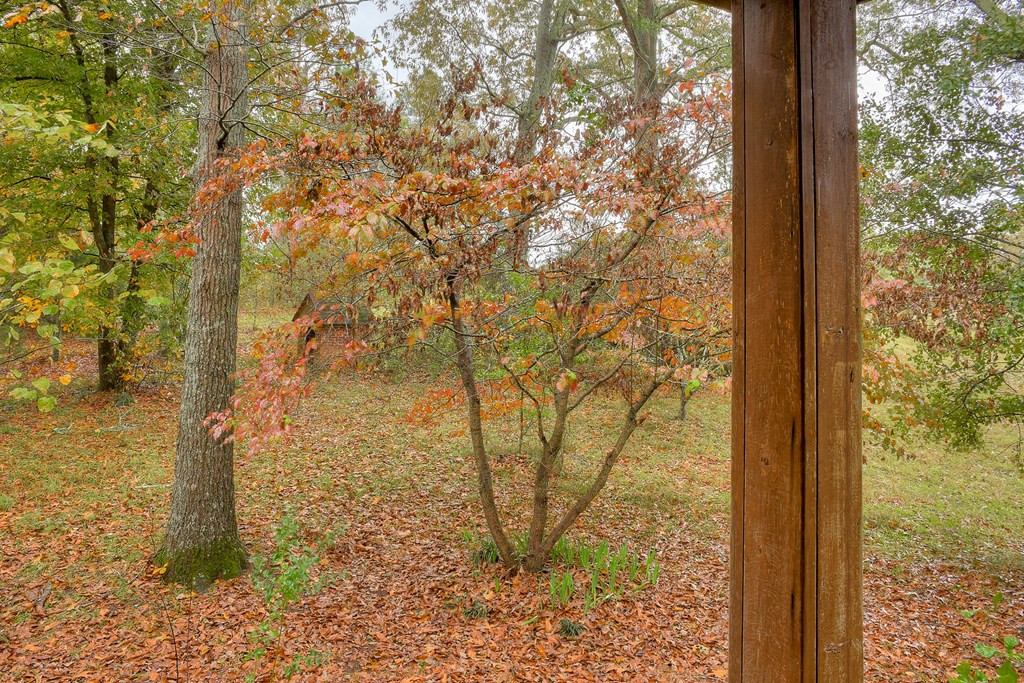 5052 Storey Mill Road Hephzibah, GA 30815 - Photo 42 of 53