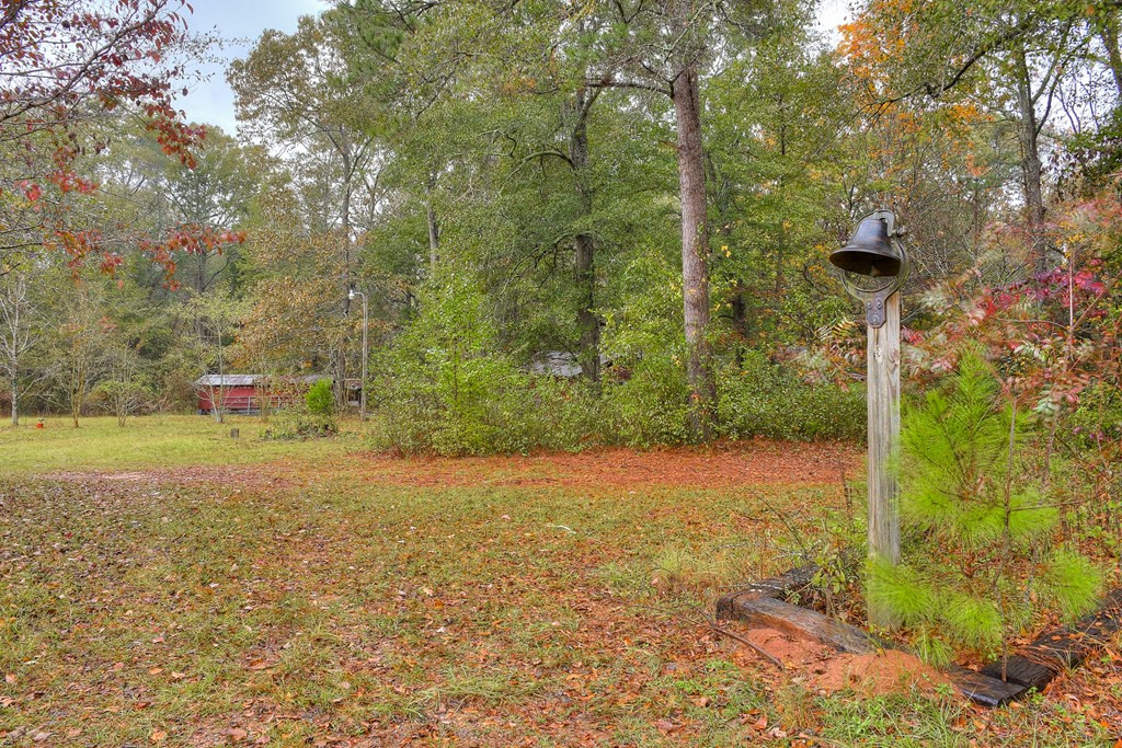5052 Storey Mill Road Hephzibah, GA 30815 - Photo 45 of 53