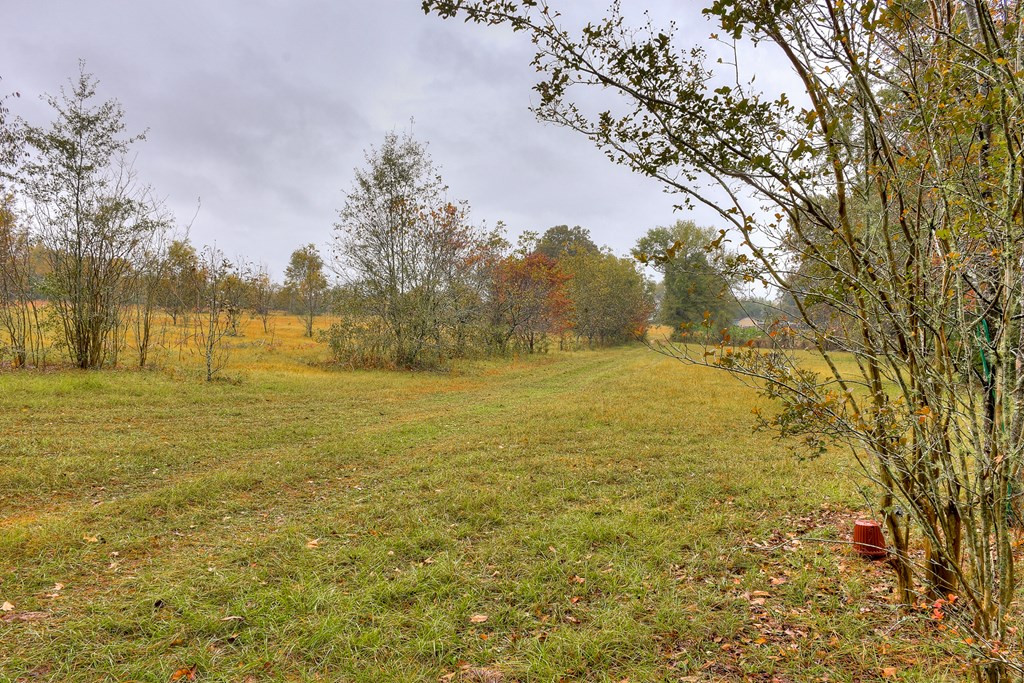 5052 Storey Mill Road Hephzibah, GA 30815 - Photo 46 of 53