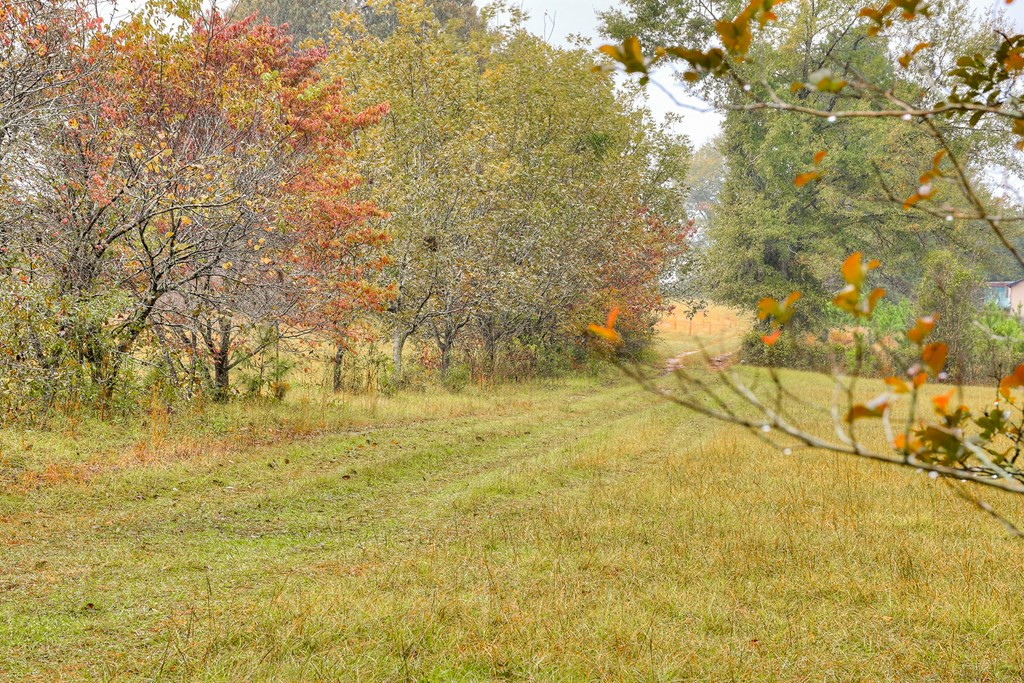 5052 Storey Mill Road Hephzibah, GA 30815 - Photo 47 of 53