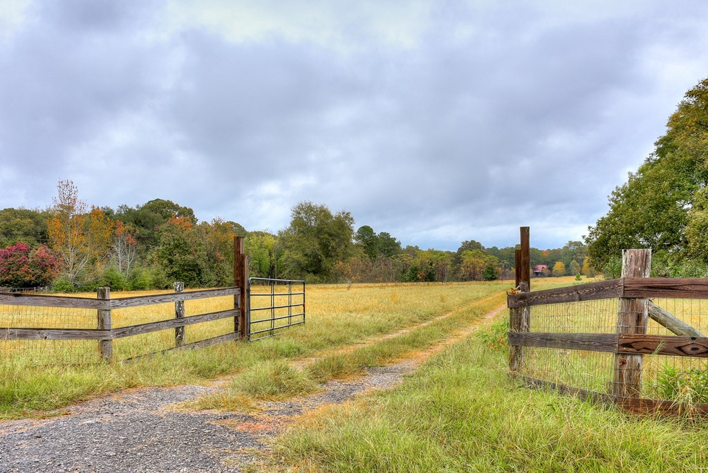 5052 Storey Mill Road Hephzibah, GA 30815 - Photo 52 of 53