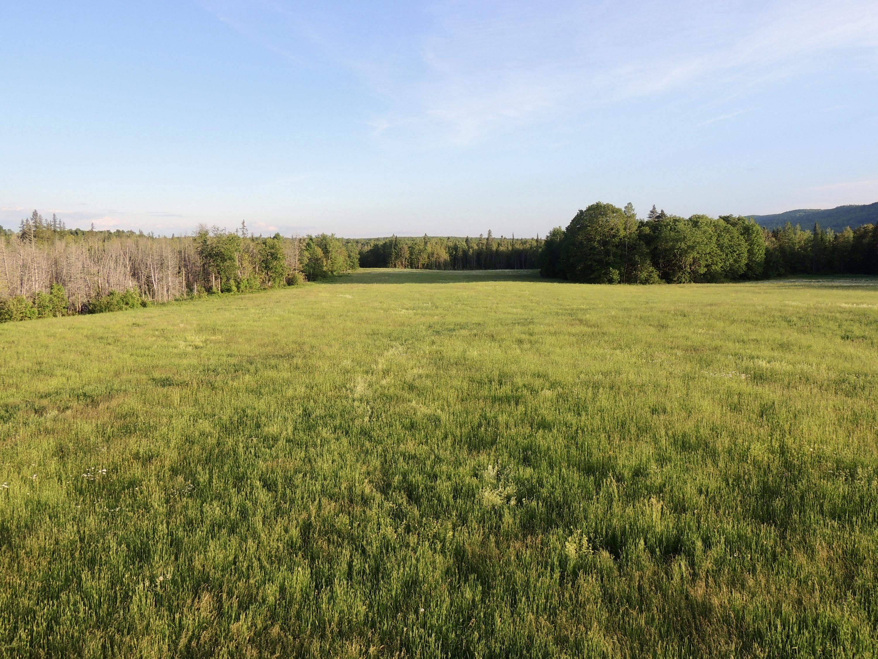 Map7-lot7 West Chapman Road Mapleton, ME 04757 - Photo 16 of 35 fullsizeoutput_cb