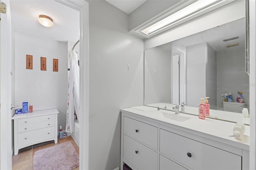 12935 Rain Forest Street Temple Terrace, FL 33617 - Photo 32 of 51 a bathroom with a sink and a mirror