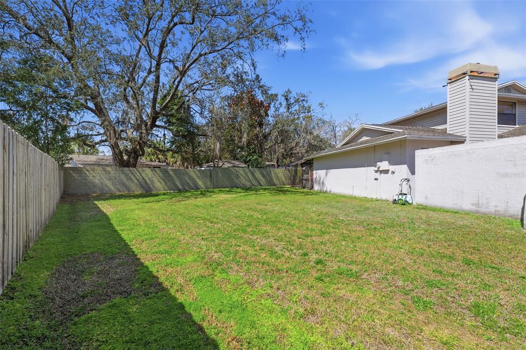 12935 Rain Forest Street Temple Terrace, FL 33617 - Photo 40 of 51 a backyard of a house with lots of green space