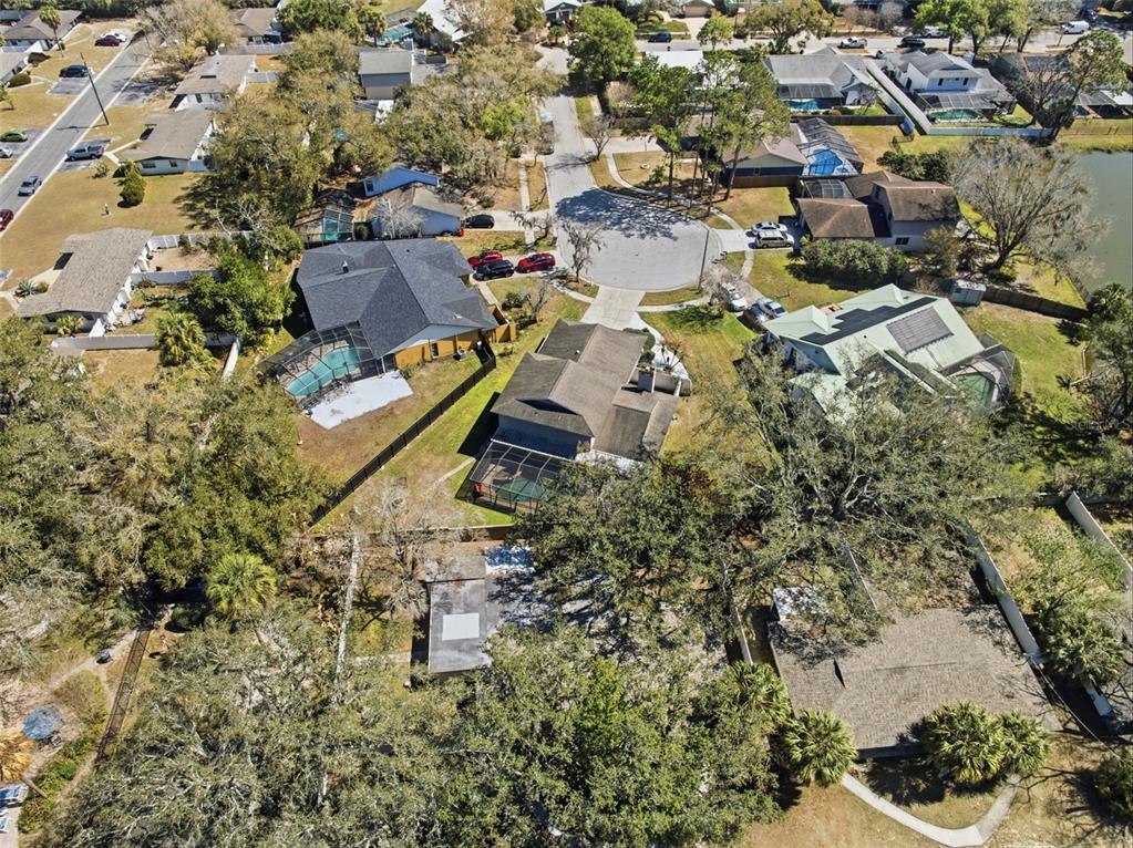 12935 Rain Forest Street Temple Terrace, FL 33617 - Photo 50 of 51 an aerial view of residential house with outdoor space and trees all around