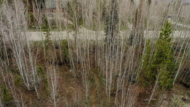 a view of a park with large trees