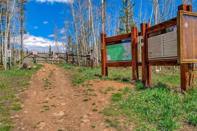 a view of a yard with palm trees