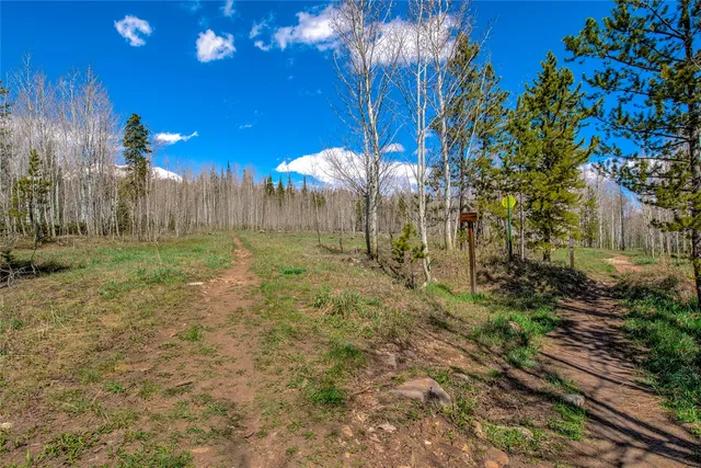 a view of a yard with trees