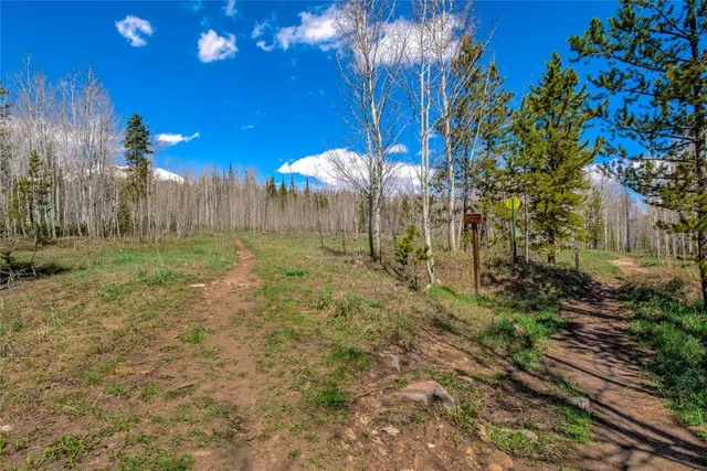 a view of a yard with a tree