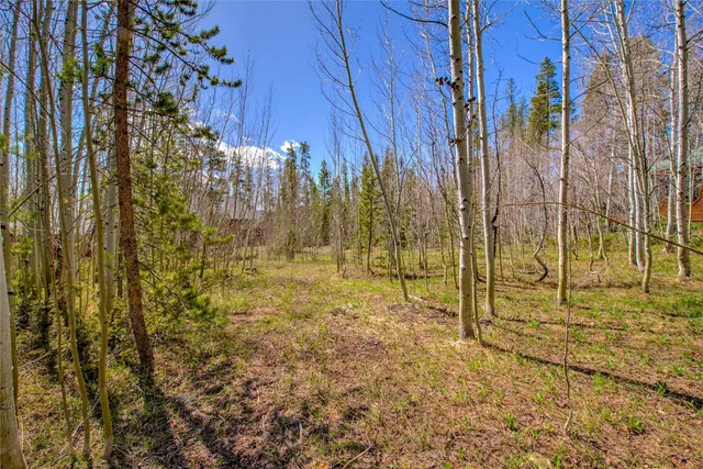 a view of a backyard of the house