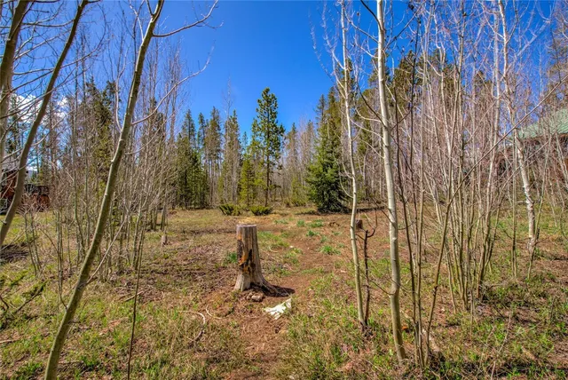 a view of a yard with trees