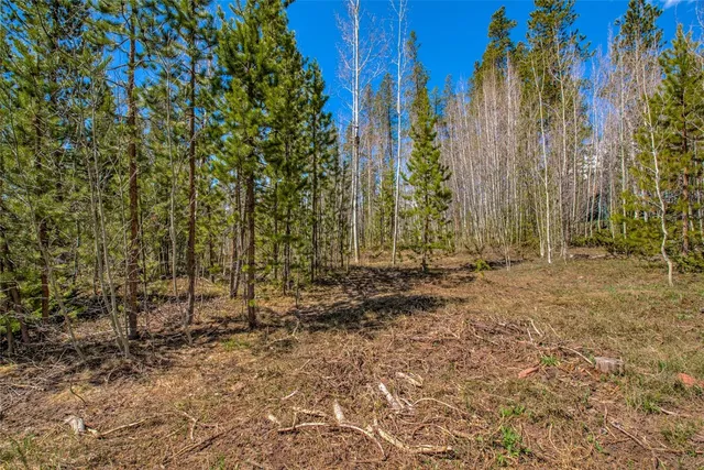 a view of a yard with plants