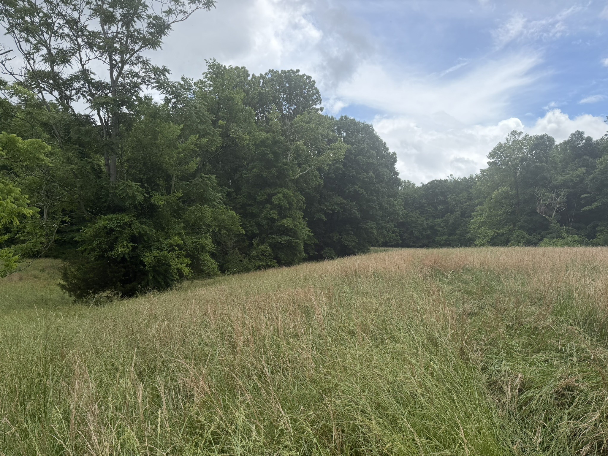 0 Brown Road Bon Aqua, TN 37025 - Photo 23 of 56 Gallery Image 23