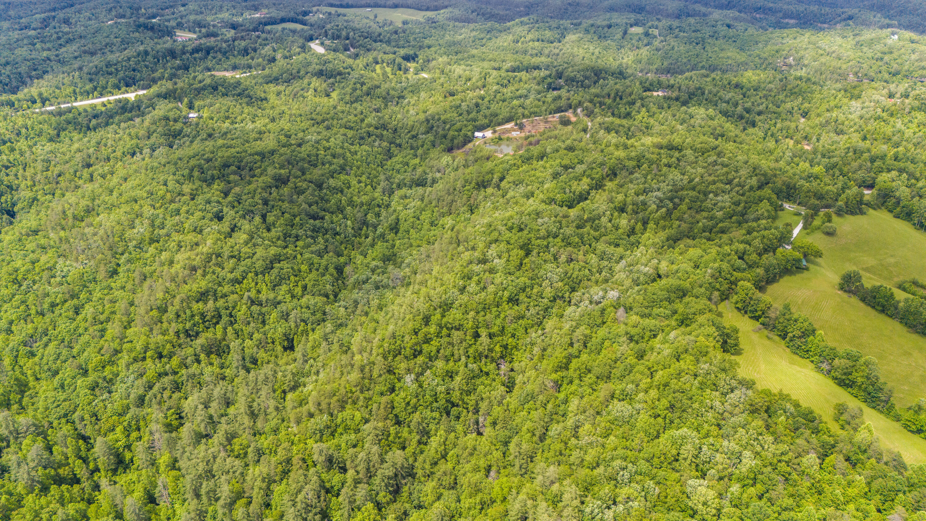 0 Shoemaker Ridge Zoe, KY 41397 - Photo 31 of 33 DJI_20250608152302_0031_D