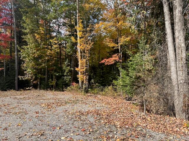 2478 Long Rapids Road Alpena, MI 49707 - Photo 25 of 35 Gallery Image 25