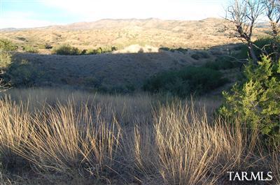 Lot D Lot D Stevens Ranch Road Patagonia, AZ 85624 - Photo 13 of 26