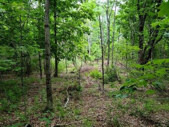 Lot B Shaw Road Augusta, ME 04330 - Photo 2 of 5 lot B 2