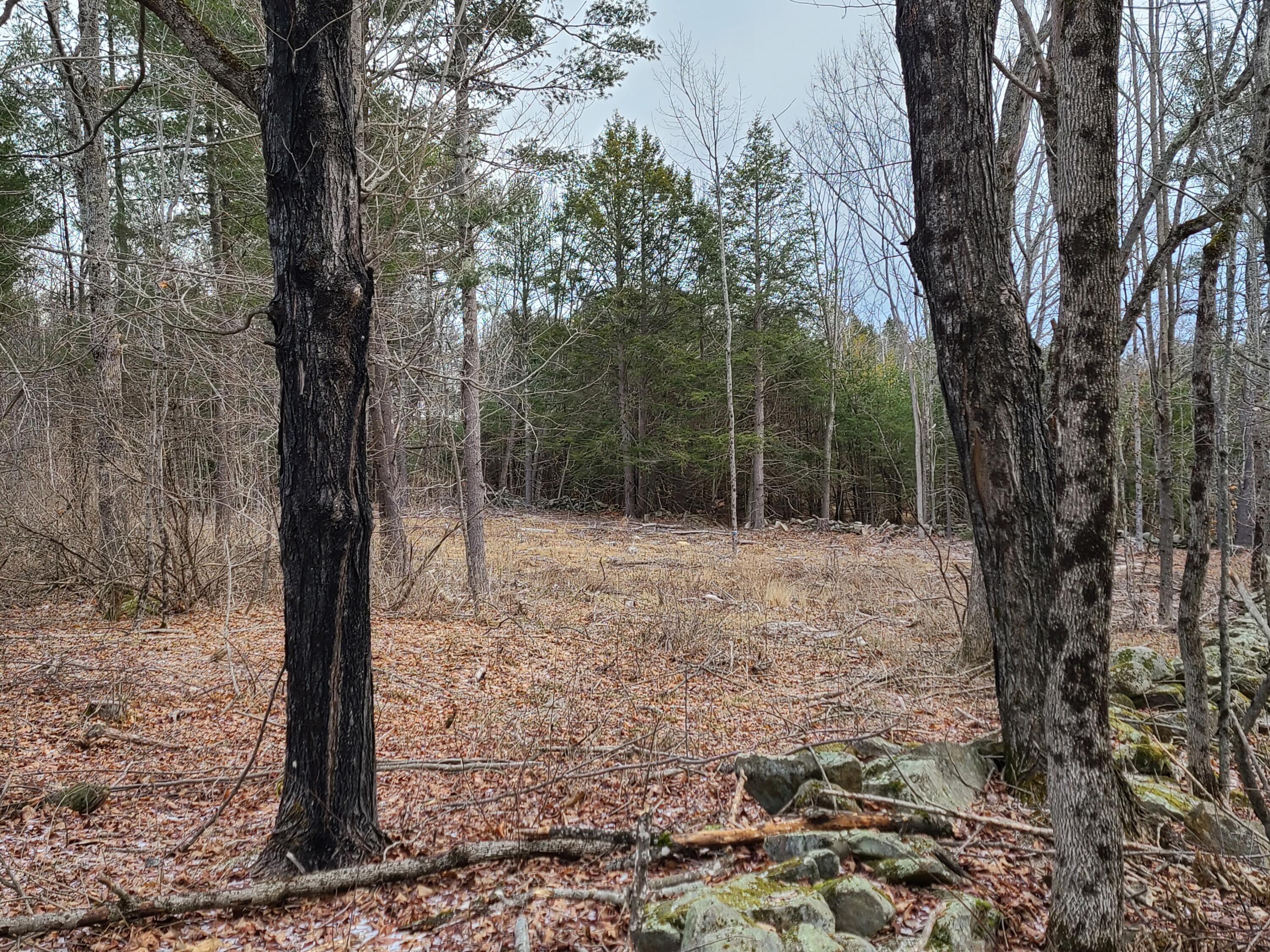 Lot B Shaw Road Augusta, ME 04330 - Photo 5 of 5 L B
