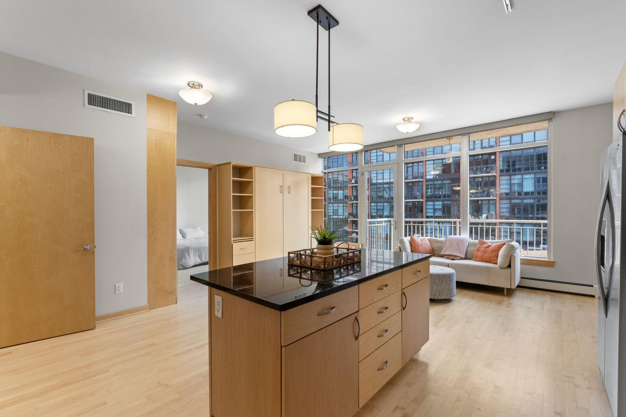 215 10th Avenue South, Unit 533 Minneapolis, MN 55415 - Photo 12 of 65 Gallery Image 12