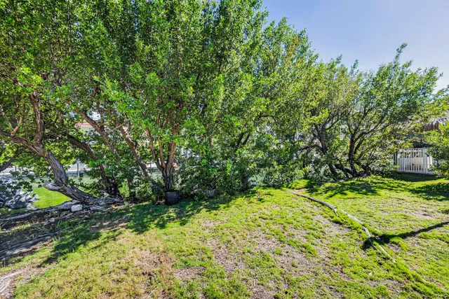 a garden view with a fountain