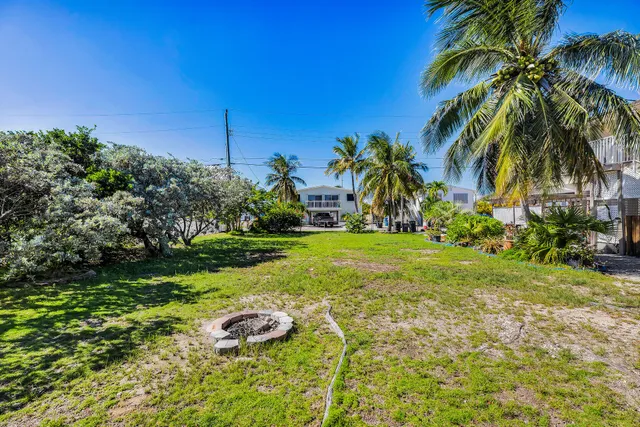 a view of a yard with palm trees