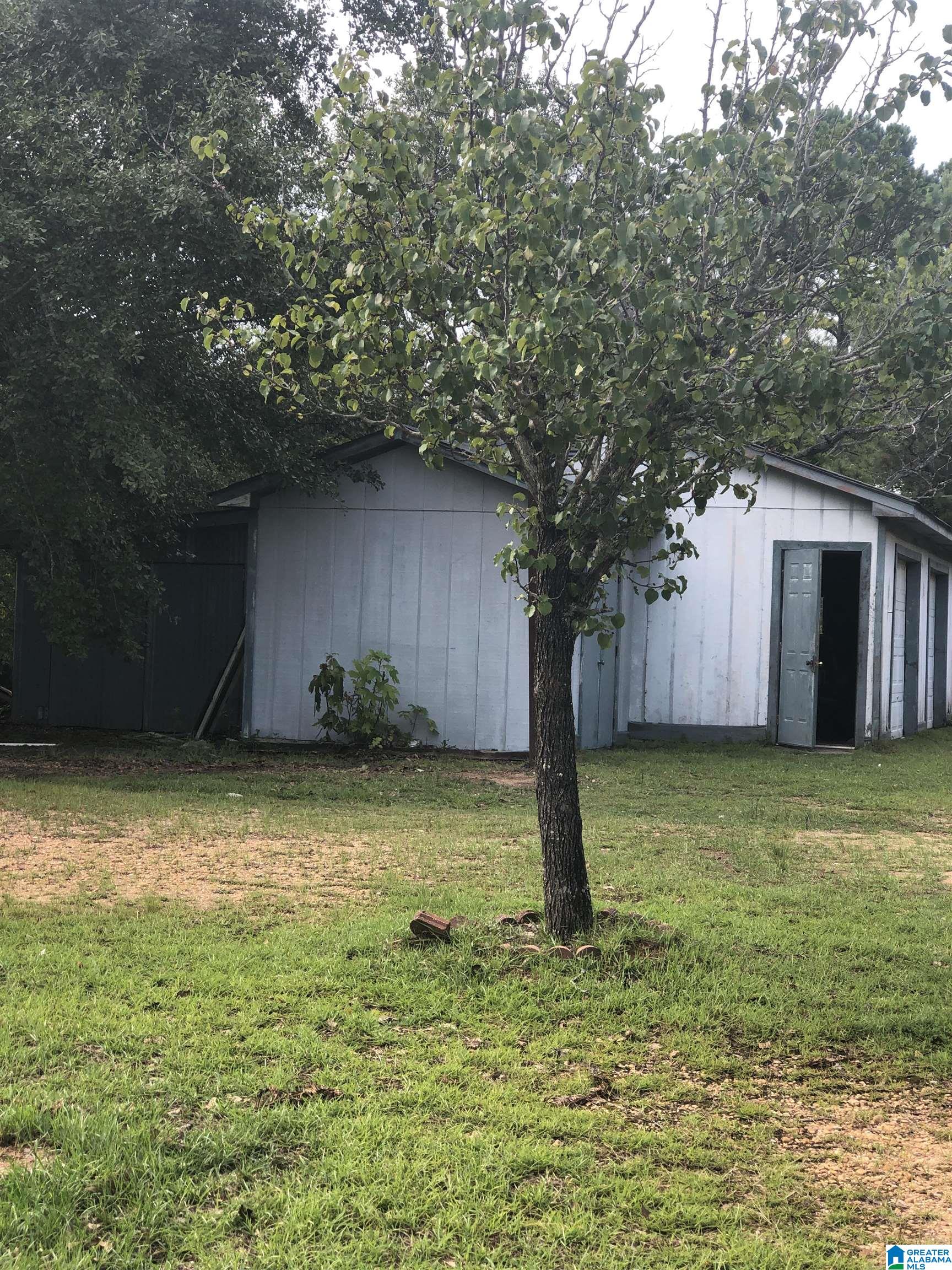 439 County Road 230 Clanton, AL 35045 - Photo 3 of 22