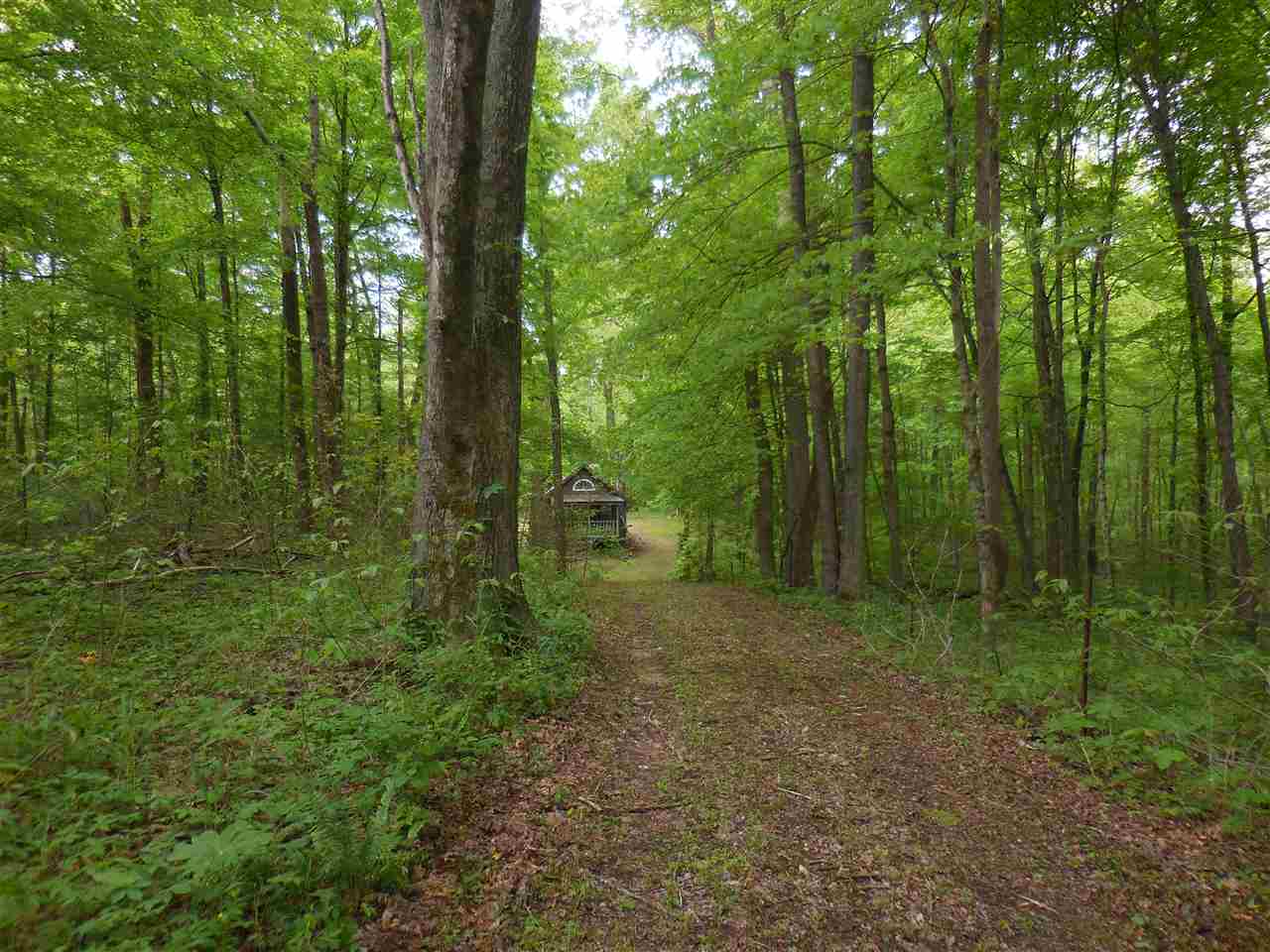 0 Progress School Road Shoals, IN 47581 - Photo 3 of 12