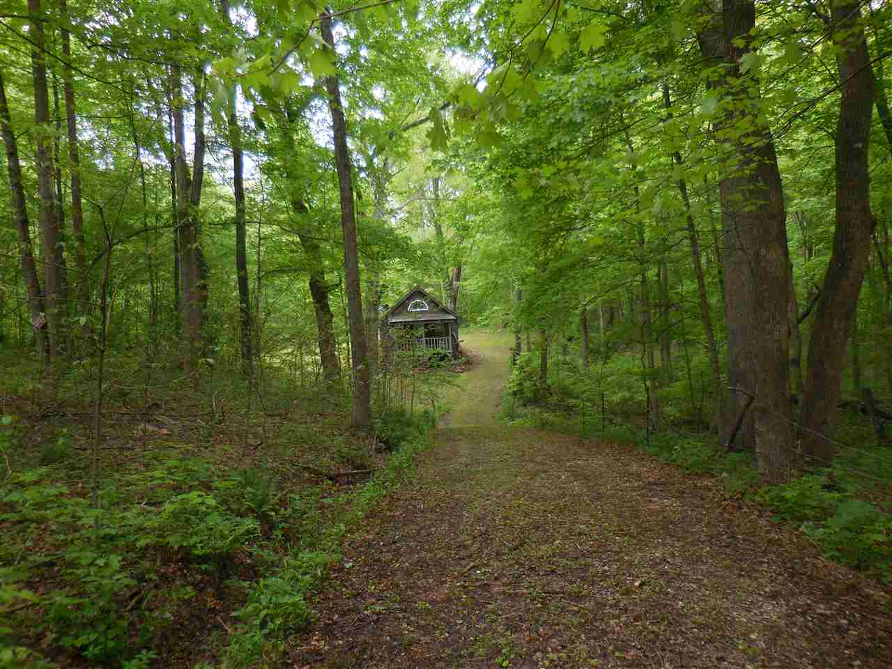 0 Progress School Road Shoals, IN 47581 - Photo 4 of 12