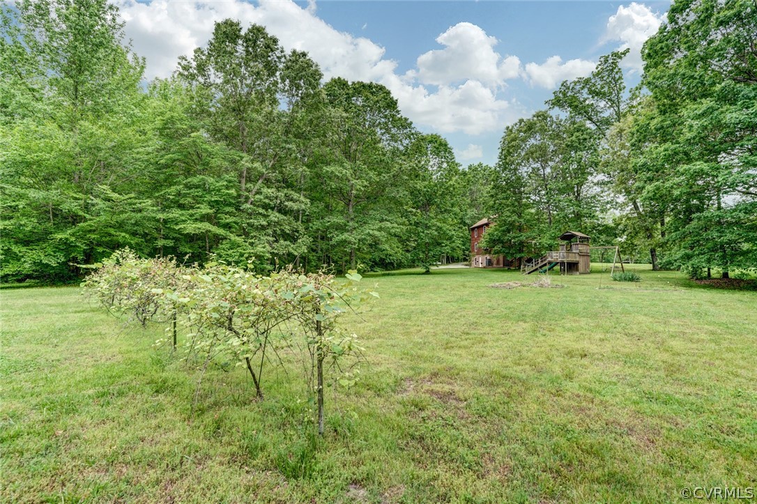 4752 Three Chopt Road Louisa, VA 23093 - Photo 13 of 49