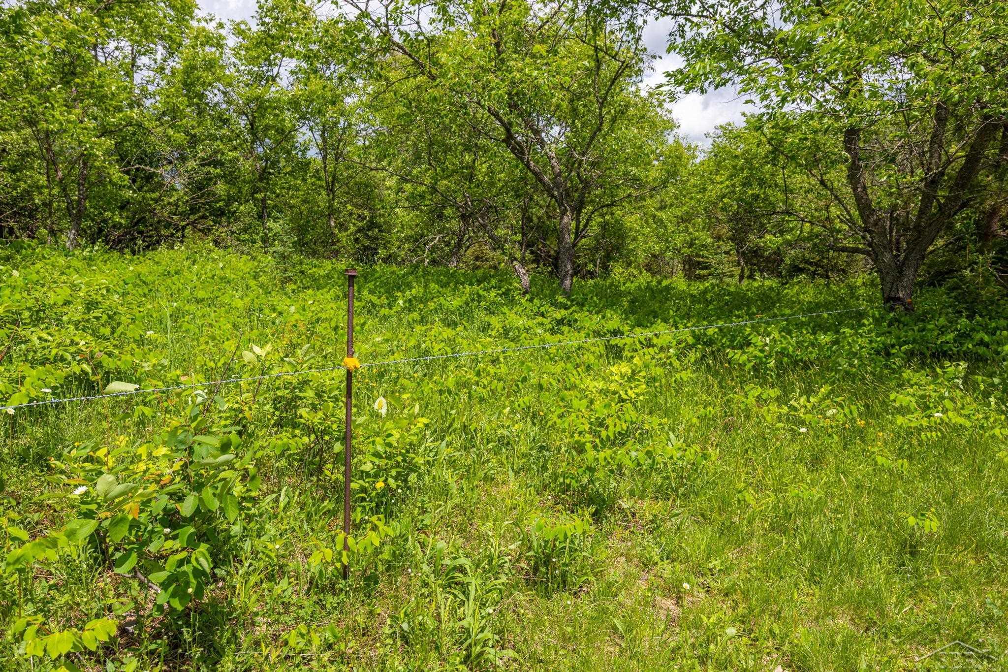 25615 Leo S Road Watton, MI 49970 - Photo 60 of 72