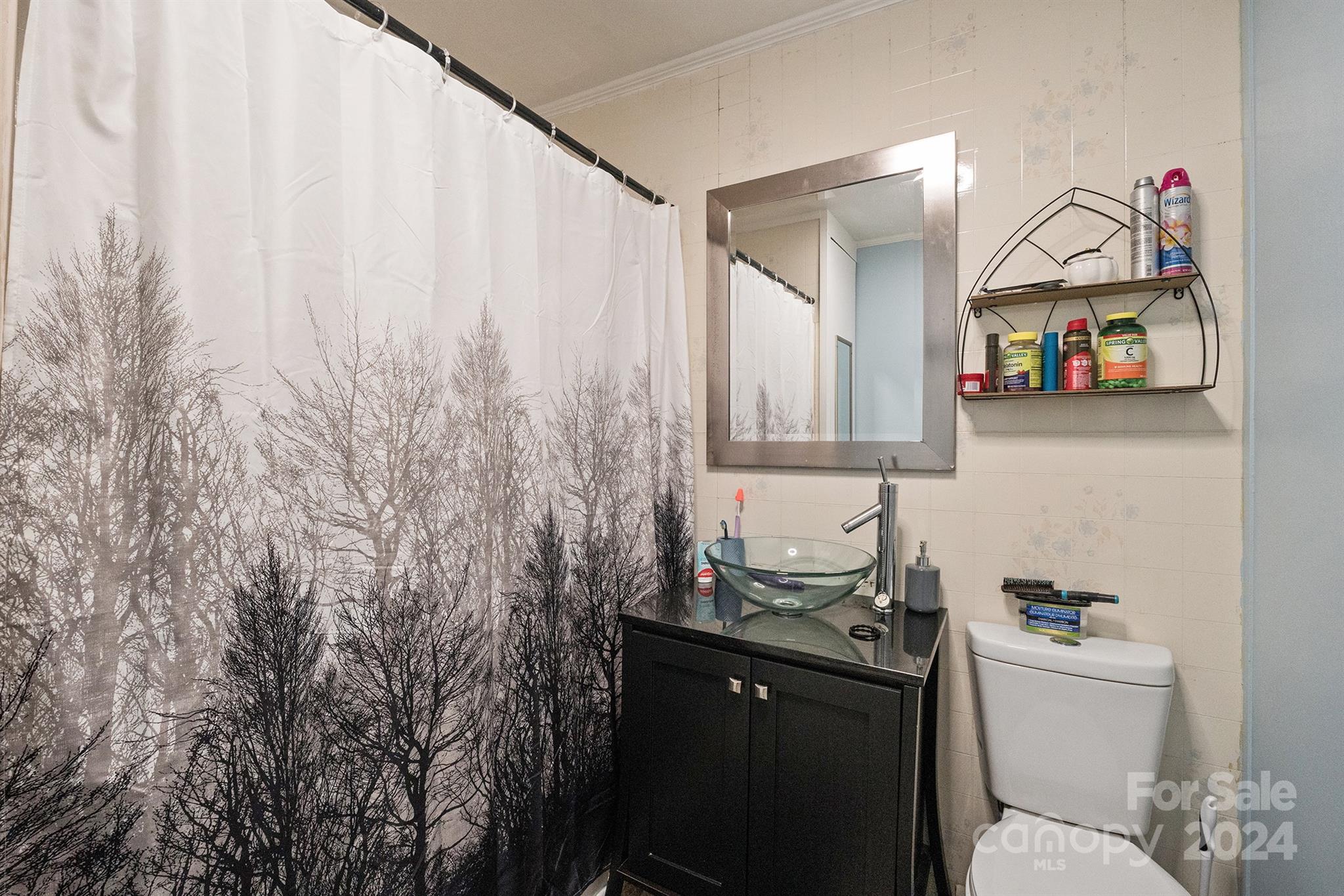 2711 Ellerwood Road Hudson, NC 28638 - Photo 14 of 19 a bathroom with a sink toilet and a mirror